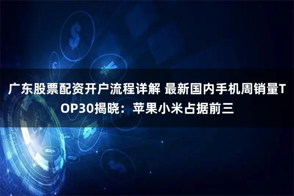 广东股票配资开户流程详解 最新国内手机周销量TOP30揭晓：苹果小米占据前三
