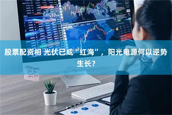 股票配资相 光伏已成“红海”，阳光电源何以逆势生长？